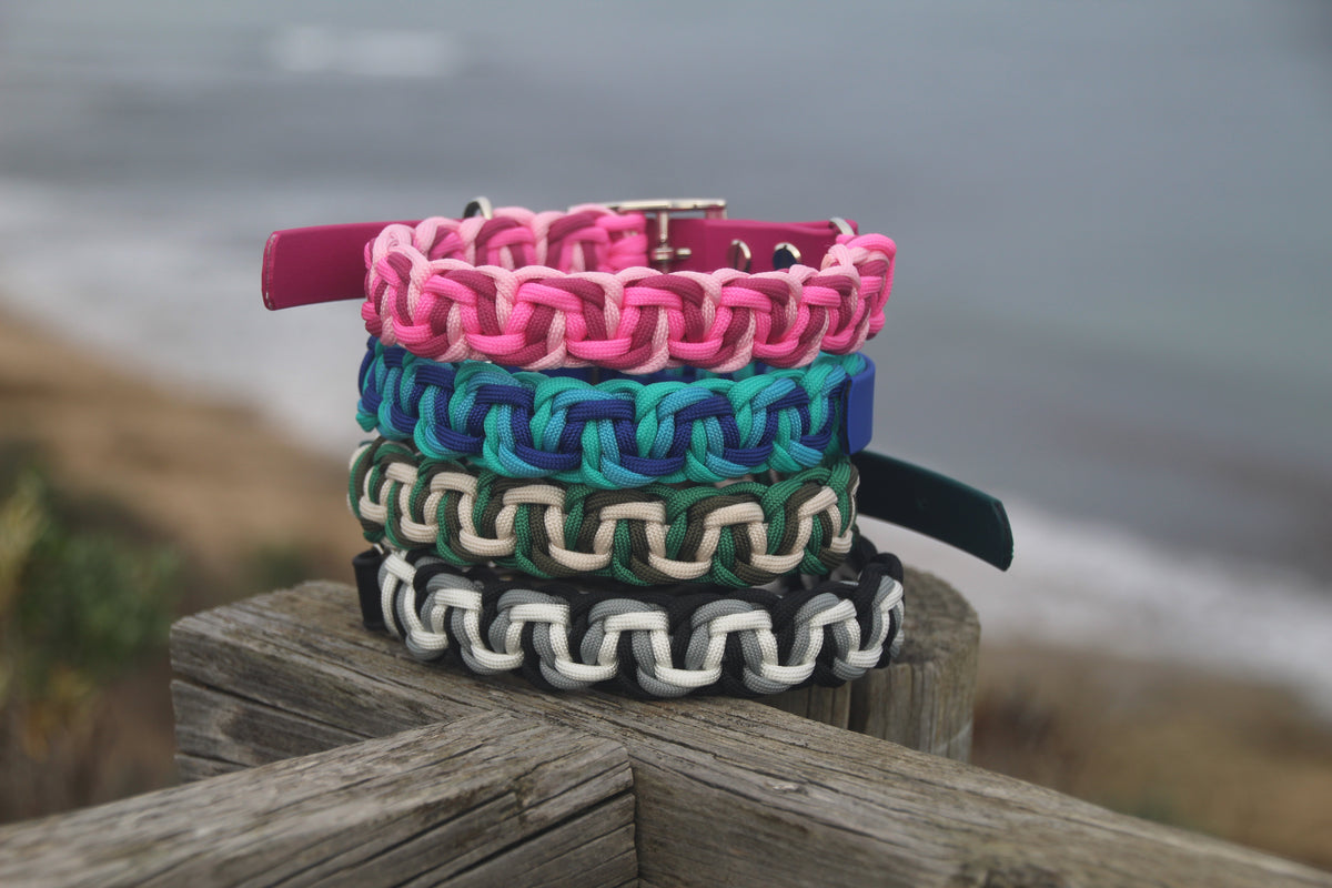 Lorne Collar