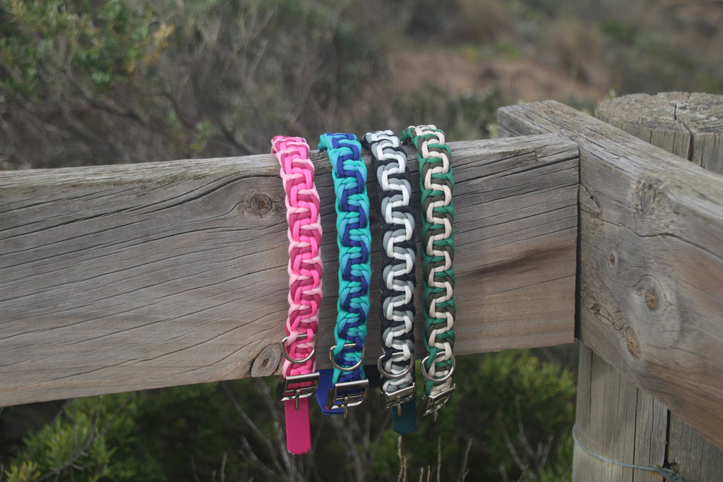 Lorne Collar
