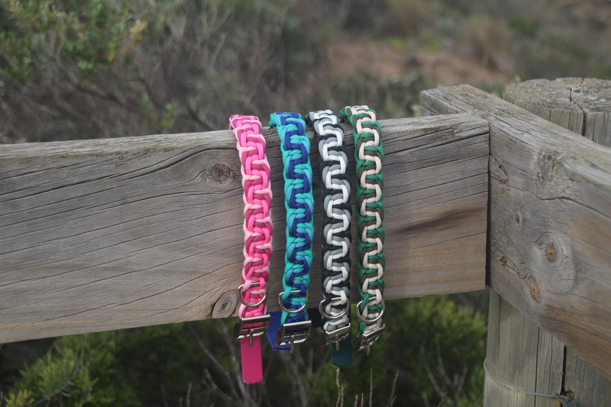 Lorne Collar