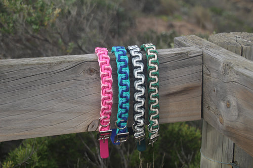 Lorne Collar